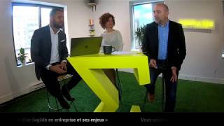 Webinaire Démystifier lagilité en entreprise et ses enjeux [upl. by Nitneuq]