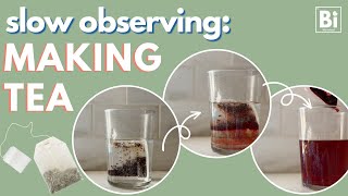 Slow Observing Explore Particle Behavior in Fluids through Tea Food Science Lab [upl. by Nava]