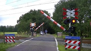 Spoorwegovergang Tynaarlo  Dutch railroad crossing [upl. by Yenial]