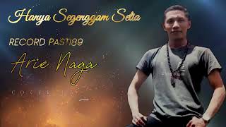 HANYA SEGENGGAM SETIA  COVER BY ARIE NAGA [upl. by Pawsner857]