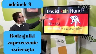 Niemiecki w parę minut 9  rodzajniki zaprzeczenie i zwierzęta [upl. by Deborah]