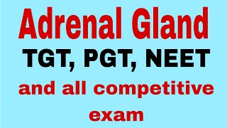 Adrenal Gland Adrenal Cortex Adrenal medullaTGTPGTneetbiology BScMSc biology [upl. by Airogerg962]