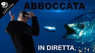 PESCA AL TONNO abboccata in diretta [upl. by Ellatsirhc]