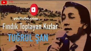 Fındık Toplayan Kızlar  Tuğrul Şan [upl. by Caitrin302]