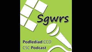 Sgwrs  CSC Podcast Formative Assessment Learning Intentions Success Criteria and More [upl. by Beverlie]