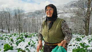 Kara Havvanın Geçmişe Ağıtı  Belgesel [upl. by Piks]