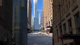 CHICAGO 🇺🇸 usa illinois chicagoland usashorts chitown travel chicago usatravel usashorts [upl. by Leverett873]