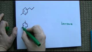 Ortho Meta Para Naming on Benzene [upl. by Joh]