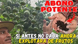 ¡ABONO POTENTE ☕🌱 ¡Haz que tu planta EXPLOTE de FRUTOS con BORRAS de CAFÉ y CENIZA [upl. by Pros]