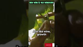 New Wine in Old Wineskin  Jesus Parable [upl. by Sylera]