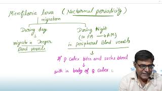 Life cycle of Filarial worm [upl. by Nive974]