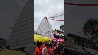 babadham bola a kawariya bolbam kalua arvindakela video mahadevstutas song bolbam bhojpuri [upl. by Frederico943]