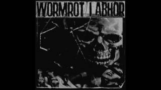 WORMROT  Critical Human Stupidity [upl. by Ybloc]