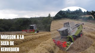 moisson à la scea de kerveguen en bretagne à scrignac [upl. by Ocram865]