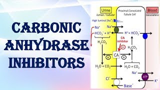 CARBONIC ANHYDRASE INHIBITORS [upl. by Ocirred962]