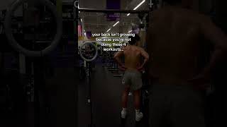 DO THESE BACK WORKOUTS landonfeitosa backworkout biohacking biomaxxing [upl. by Lucius]