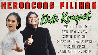 KUMPULAN LAGU DIDI KEMPOT VERSI KERONCONG [upl. by Adonis221]