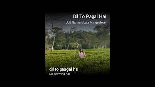 Dil to pagal hai song [upl. by Karp]