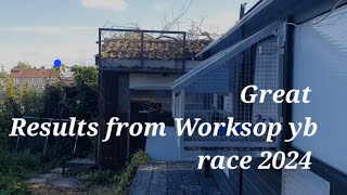 Results from Worksop young bird race [upl. by Assirim603]