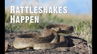 Rattlesnakes Happen [upl. by Aylsworth]