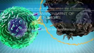 IMMUNOTHERAPY The Path to a Cancer Cure For Clinicians [upl. by Ydnes23]