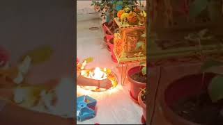 Karthika pournami thulasi kota pooja 🙏🪔🙏 [upl. by Aikaz]