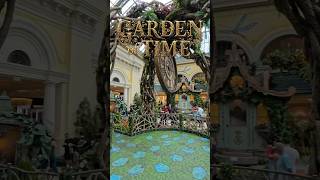 The Garden of Time at Bellagio Conservatory Las Vegas lasvegas bellagioconservatory [upl. by Novelc]