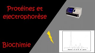 Protéines et électrophorèse [upl. by Gitlow]