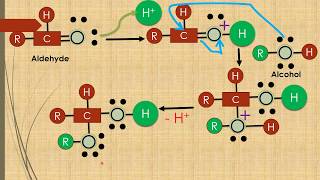 Hemiacetals formation Animation Alcohol  Aldehyde [upl. by Grunenwald]