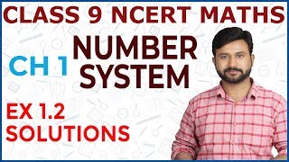 Number System  Class 9 Maths NCERT Chapter 1 Exercise 12 Hints amp Solutions [upl. by Sheldon]