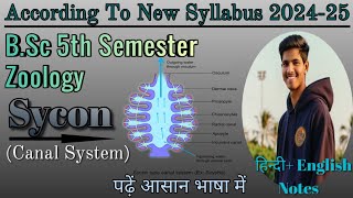 BSc 5th Semester Zoology SYCON Canal Syatem bsczoology biology Letsgraduate [upl. by Vocaay297]