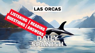 Las Orcas  Daily Spanish  Listening  Reading [upl. by Zingale]