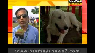 Dog Show at Bhubaneswar SOA ground [upl. by Eiddet887]