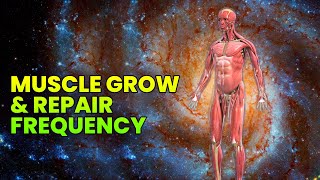 Muscle Growth Subliminal Muscle Healing Frequency Muscle Repair amp Recovery Music [upl. by Anhpad]