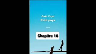 16  Petit Pays  Gael Faye  aide à la lecture  Chapitre 16 [upl. by Shapiro]