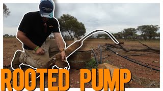 Rooted Pump Rescue Outback Water Troubles [upl. by Damahom]