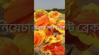 MCB ও MCCB এর পূর্ণরূপ কি Bangladesh electric house wiring YouTube short video [upl. by Burrill]