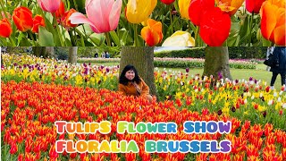 TULIPS FLOWER SHOWFLORALIA BRUSSELS [upl. by Yhtak]