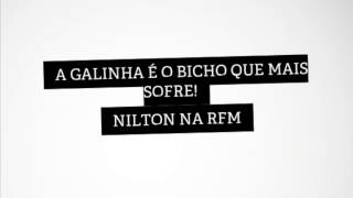 RFM  Nilton  A Galinha é o bicho que mais sofre [upl. by Oicnanev]