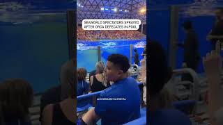 SeaWorld spectators sprayed after Orca defecates in pool [upl. by Raddatz]