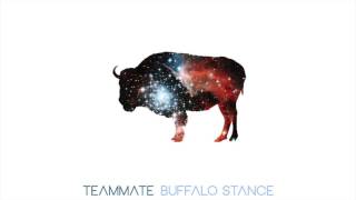 TeamMate  Buffalo Stance Neneh Cherry Cover [upl. by Annahpos]