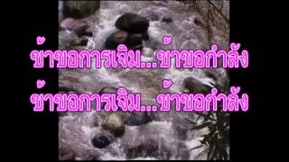 ขอเทลงมา1mp4 [upl. by Akem]