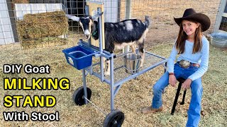 DIY Goat Milking Stand  How to Make it Overbuilt amp Understyled aka painted gray [upl. by Asare]