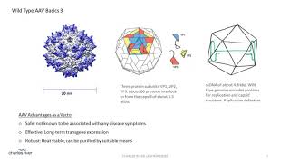 Considerations in the Use of Analytical Ultracentrifugation for Characterization of AAV Gene [upl. by Eilyac773]