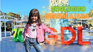 Visita al Zoológico de Guadalajara 🐘🦒🐊🦓🪼🐠🪵🍃 [upl. by Atteloj127]