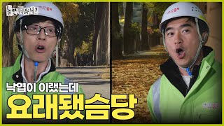 ENG SUB 지난주 단풍 천국 이번 주 낙엽 지옥  놀면뭐하니 유재석 김석훈 MBC241116방송 [upl. by Suhploda]