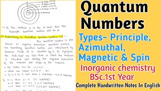 Quantum Numbers  Types Principle Azimuthal Magnetic amp Spin Quantum Numbers bscnotes [upl. by Sundin]