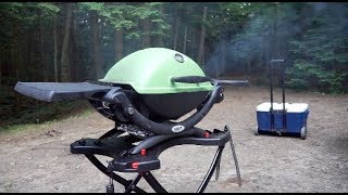 Weber Q Long Term Review [upl. by Lovich]