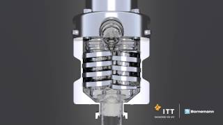 ITT Bornemann SLH 4G pumpe Funktionsprinzip [upl. by Aklog]