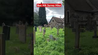 Box Hill Surrey Hike  Nature Walks boxhill hiking surreyhills hikerslife naturewalk hiking [upl. by Glinys769]